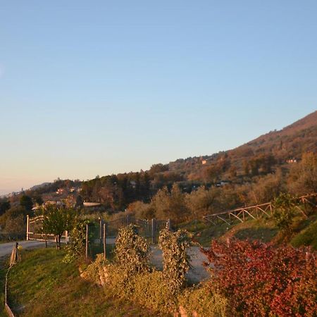 Locazione Turistica Villa Delle Rose อัสซิซี ภายนอก รูปภาพ