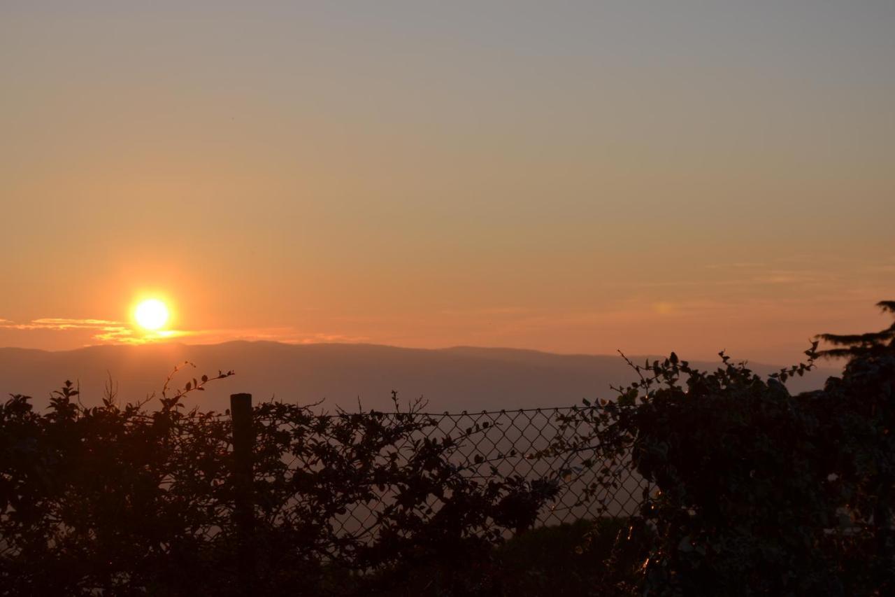 Locazione Turistica Villa Delle Rose อัสซิซี ภายนอก รูปภาพ