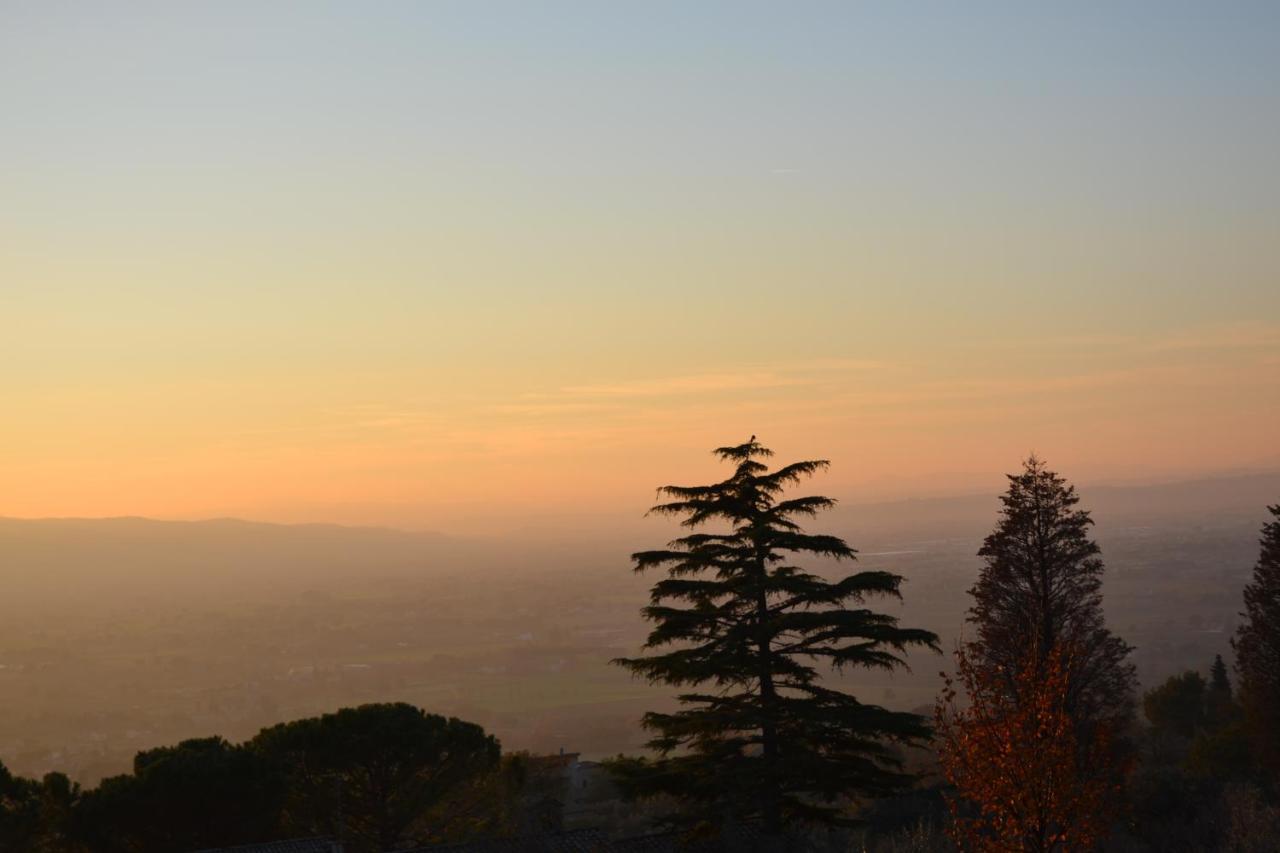 Locazione Turistica Villa Delle Rose อัสซิซี ภายนอก รูปภาพ
